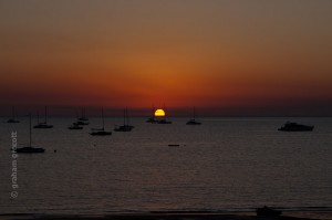 IMG_7753