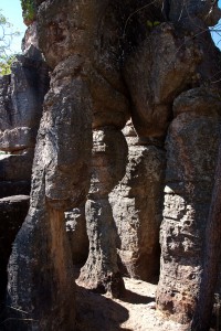 IMG_7841