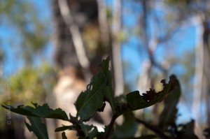 IMG_7866