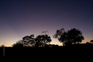 IMG_7915