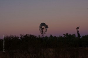 IMG_7930