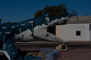 IMG_7990