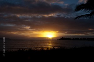 IMG_8054