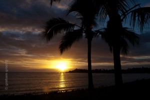 IMG_8055