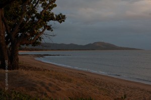 IMG_8062