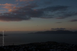 IMG_8078