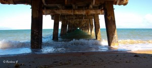 IMG_8098