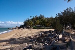 IMG_8100