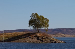 _MG_2385