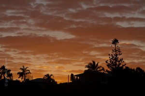 IMG_2973