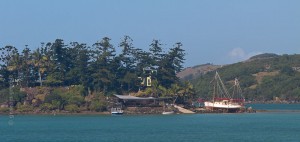 IMG_3116