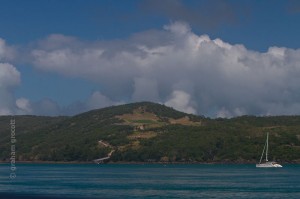 IMG_3120
