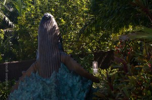 IMG_3132