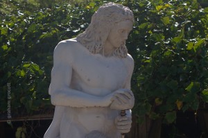 IMG_3133