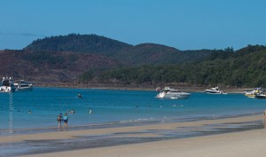 IMG_3166