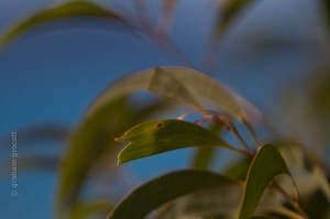 IMG_3184
