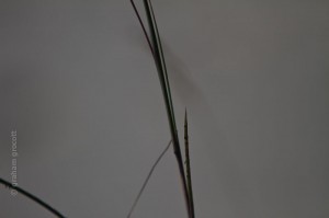IMG_3187