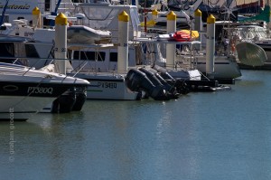IMG_3222