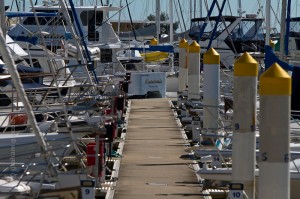 IMG_3227