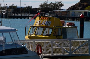 IMG_3230