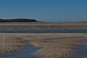 IMG_3267