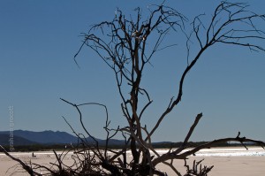IMG_3285