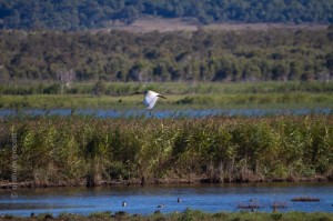 IMG_3289