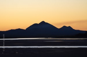 IMG_3387