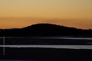IMG_3390