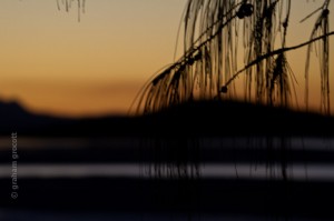 IMG_3400