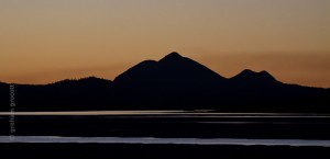 IMG_3402