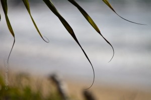 IMG_3412