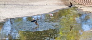 IMG_5119