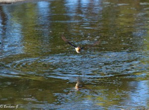 IMG_5126