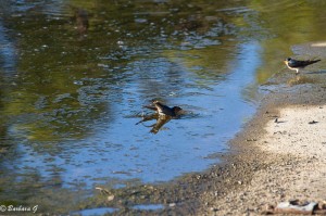 IMG_5155