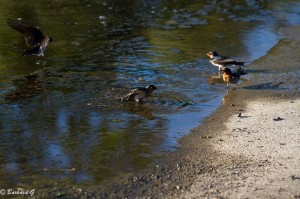 IMG_5180