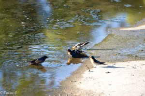 IMG_5192