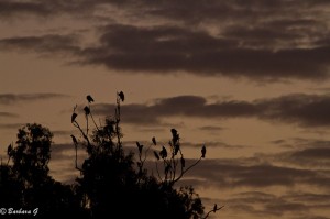 IMG_5197