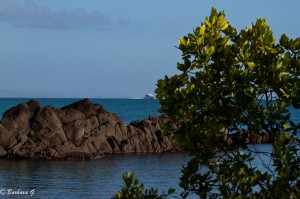 IMG_5230
