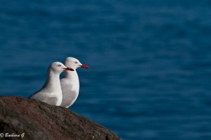 IMG_5253