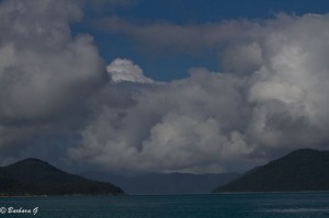 IMG_5320