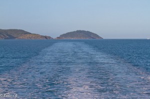 IMG_5379