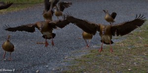 IMG_5558