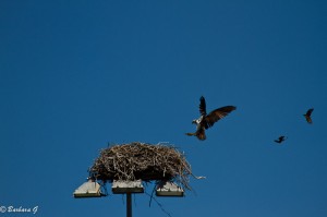 IMG_5635
