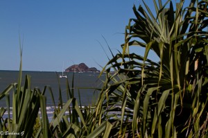 IMG_5672