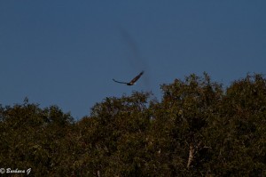 IMG_5680