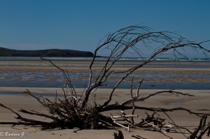 IMG_5693