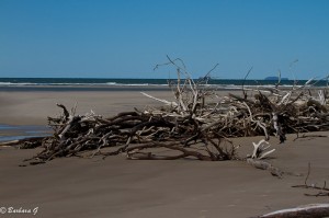 IMG_5695