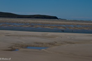 IMG_5696
