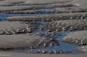 IMG_5705